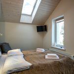 aislamiento térmico de tejados y cubiertas inclinadas